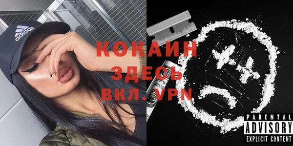 индика Михайловка