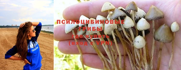jwh Мегион