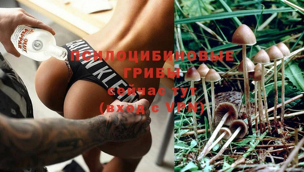 индика Михайловка